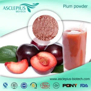Slyvų vaisių sulčių milteliai, slyvų vaisių ekstrakto miltelių tiekėjas didmeninė prekyba
